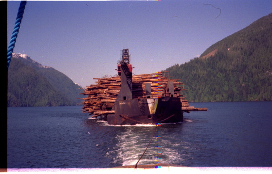 We towed the 370 Ft self dumping log barge Haida Carrier